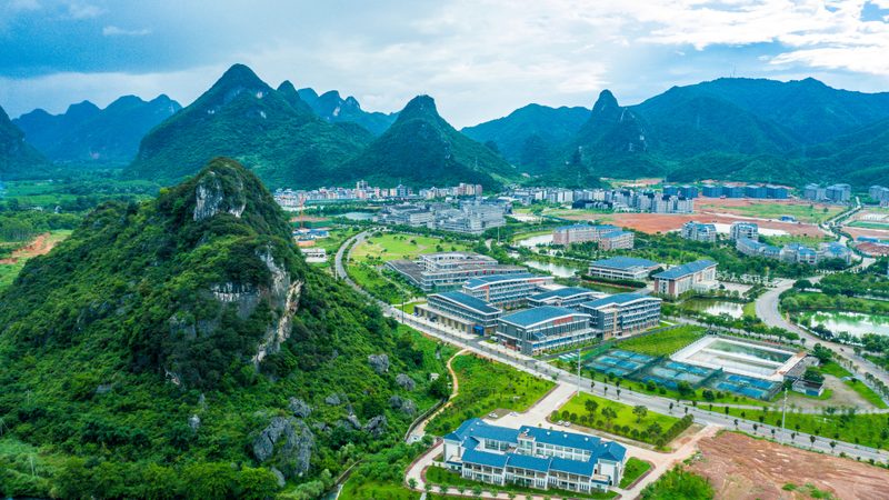 工业级电子模块：解析其优缺点与应用场景